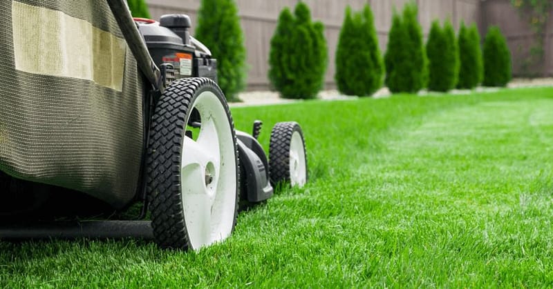 A lawnmower creating a precise lines on the lawn